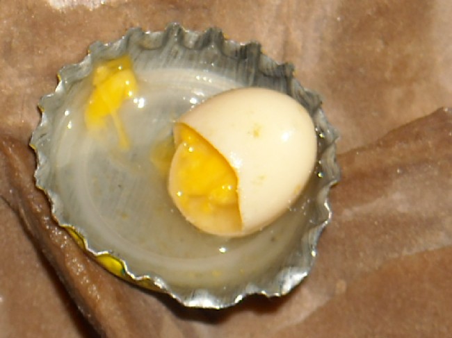 huevos de tortuga comida