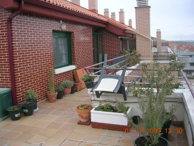 Forrar la valla que separa mi casa con un edificio con trepadoras